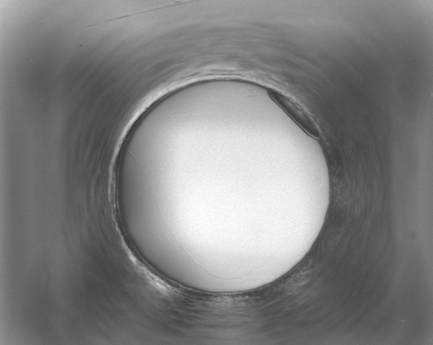 X0000060801527200512011719