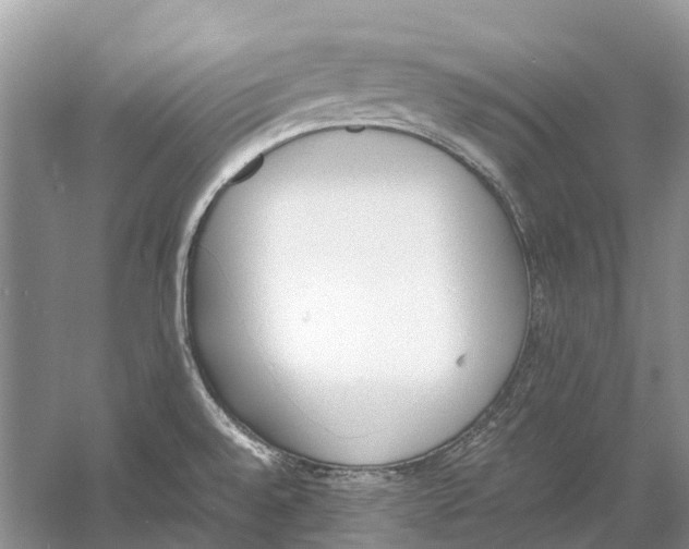 X0000060801528200512011719