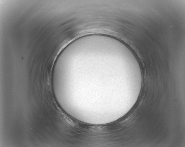 X0000060801529200512011719