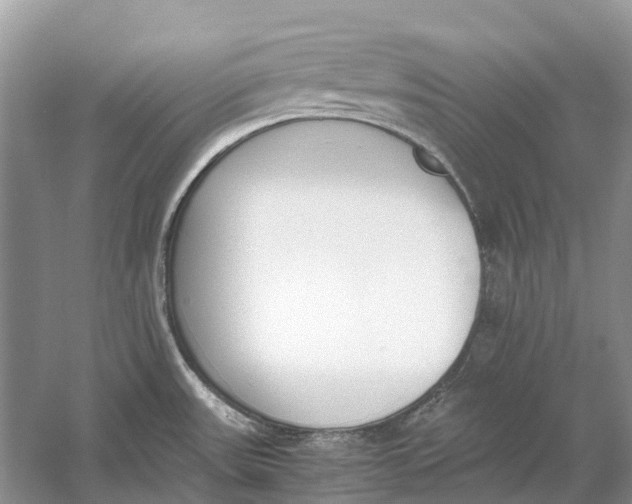 X0000060801531200512011719