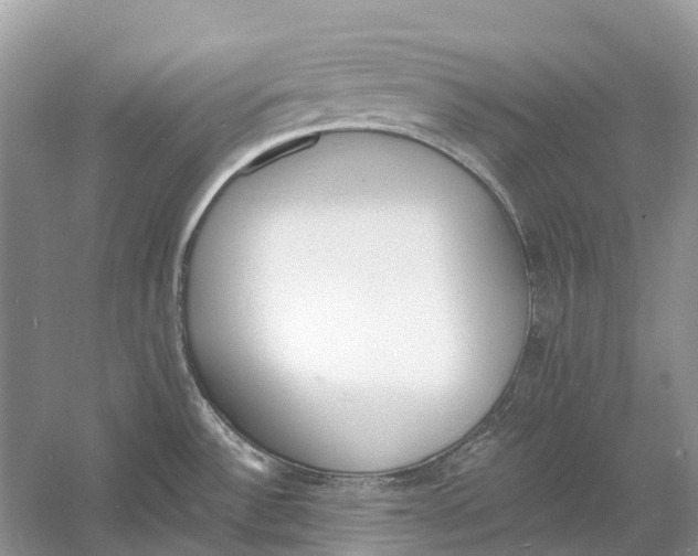 X0000060801532200512011719