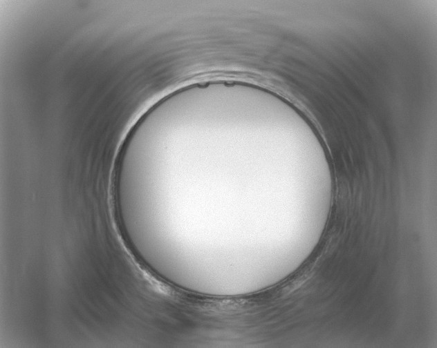 X0000060801533200512011719