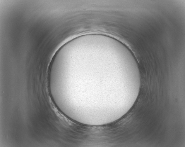 X0000060801534200512011719