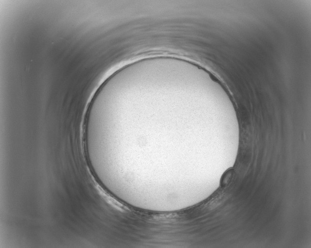 X0000060801535200512011719