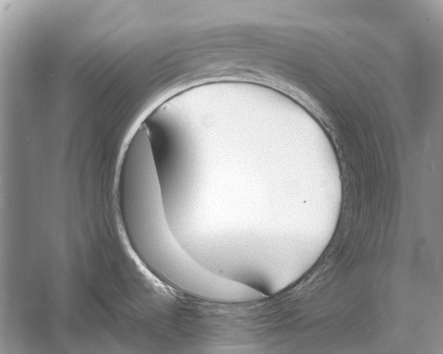 X0000060801536200512011719