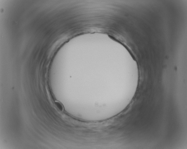 X0000060800001200512082201