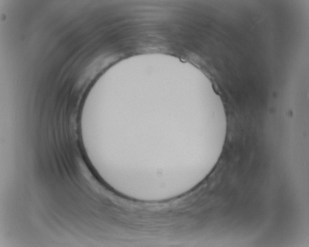 X0000060800002200512082201