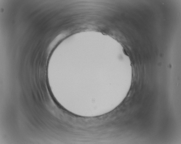 X0000060800003200512082201