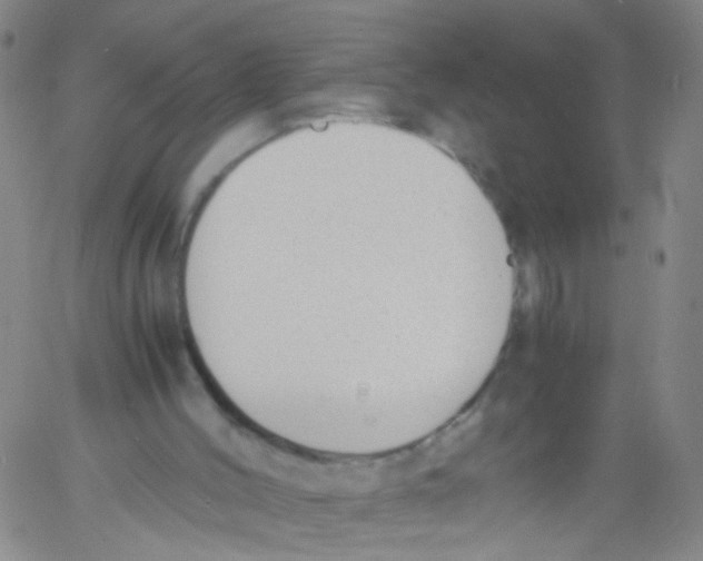 X0000060800004200512082201