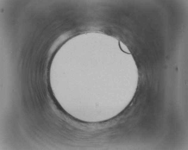 X0000060800006200512082201