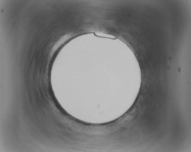 X0000060800008200512082201