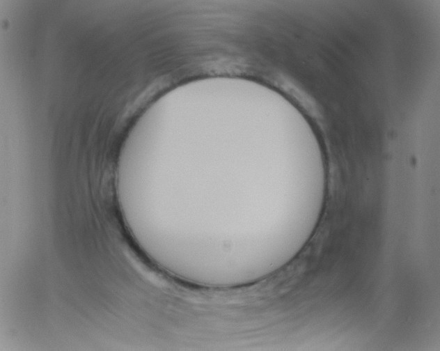 X0000060800009200512082201