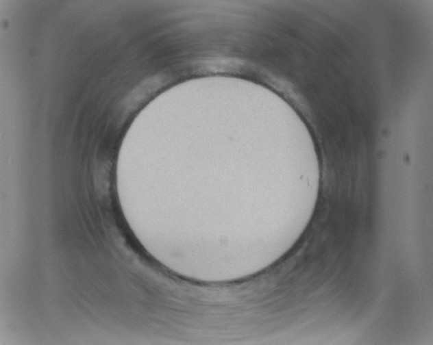 X0000060800010200512082201