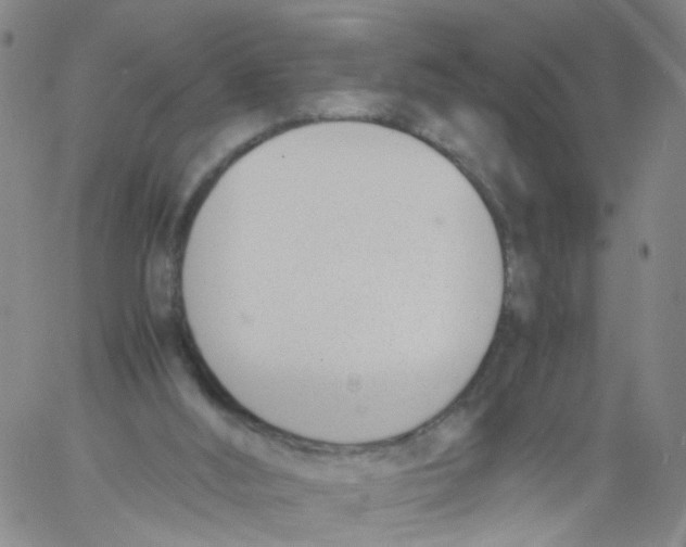 X0000060800012200512082201