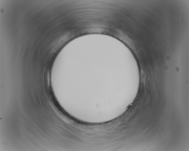 X0000060800013200512082201