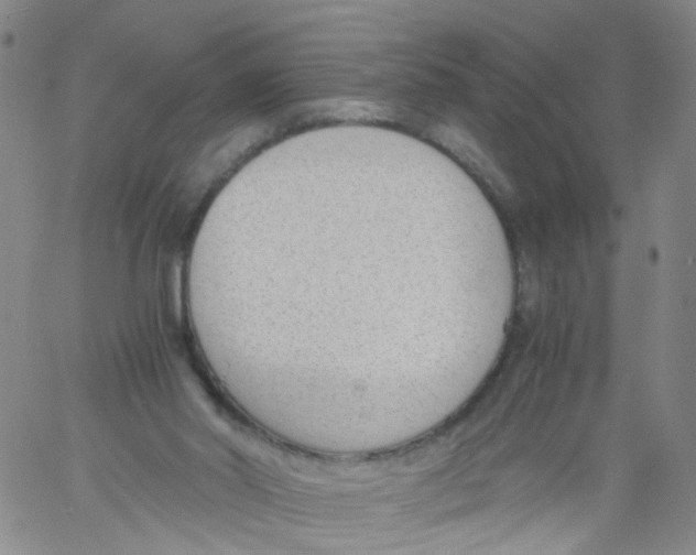 X0000060800014200512082201