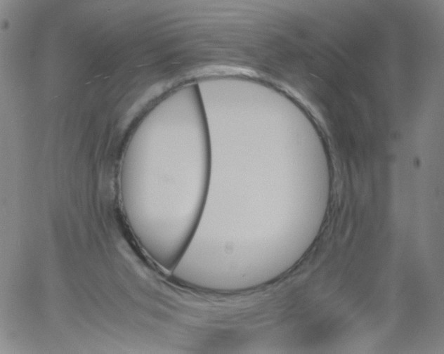 X0000060800015200512082201