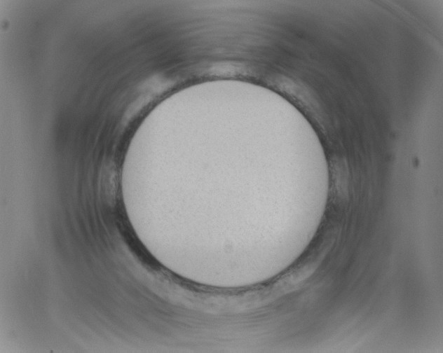 X0000060800016200512082201