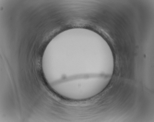 X0000060800017200512082201