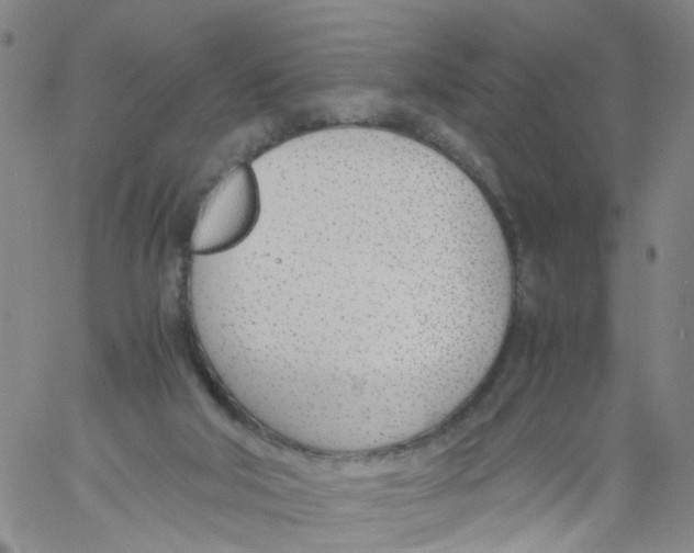 X0000060800018200512082201