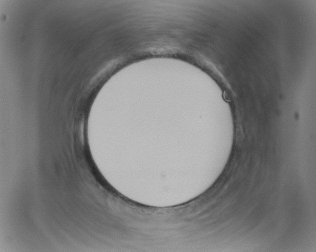 X0000060800019200512082201