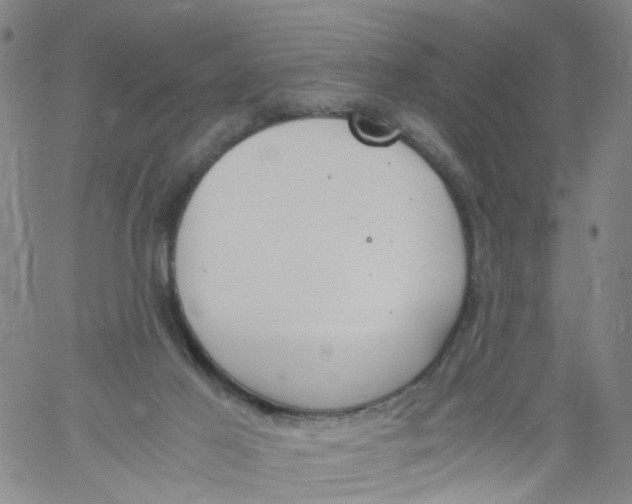 X0000060800021200512082201