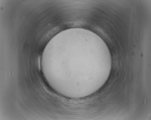 X0000060800022200512082201