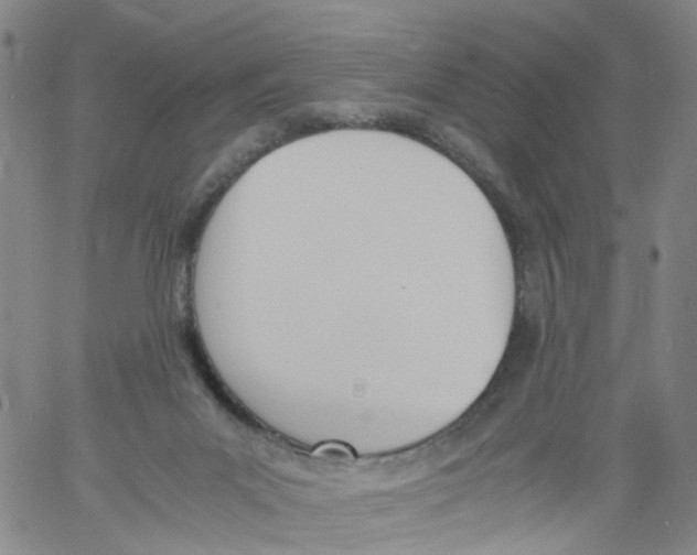 X0000060800023200512082201