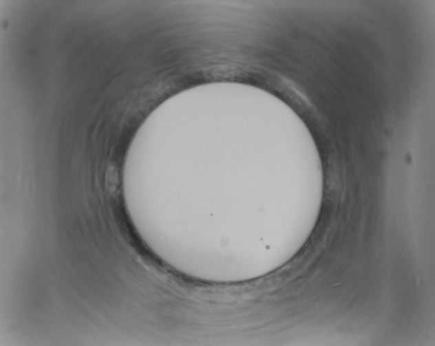 X0000060800025200512082201