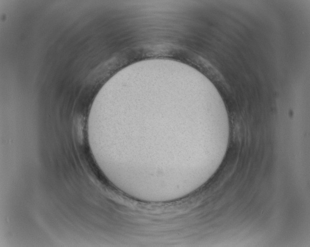 X0000060800026200512082201