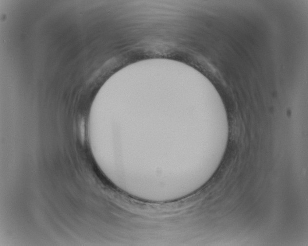 X0000060800027200512082201