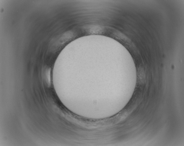 X0000060800028200512082201