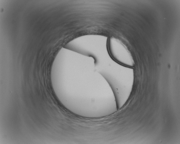 X0000060800029200512082201