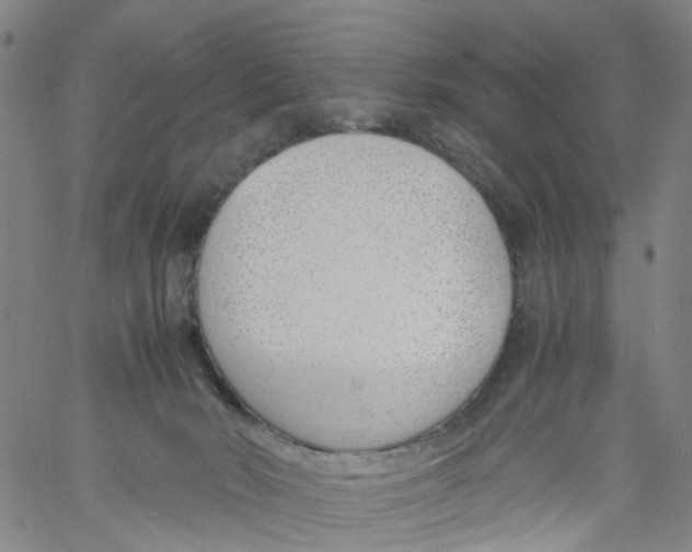 X0000060800030200512082201