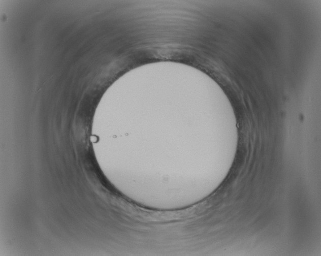 X0000060800031200512082201