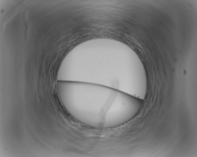 X0000060800033200512082201