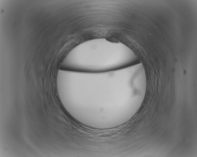 X0000060800035200512082201