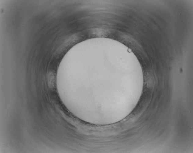 X0000060800036200512082201