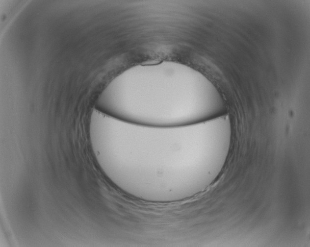 X0000060800037200512082201