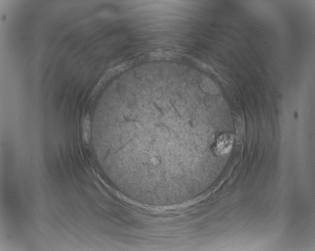 X0000060800038200512082201