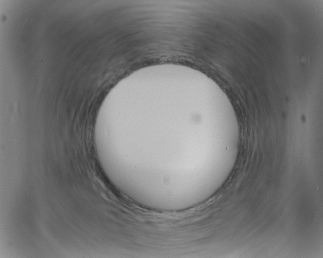 X0000060800039200512082201