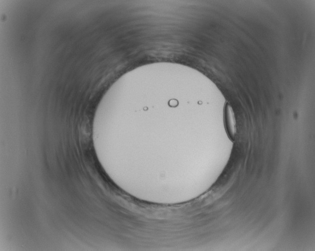 X0000060800040200512082201