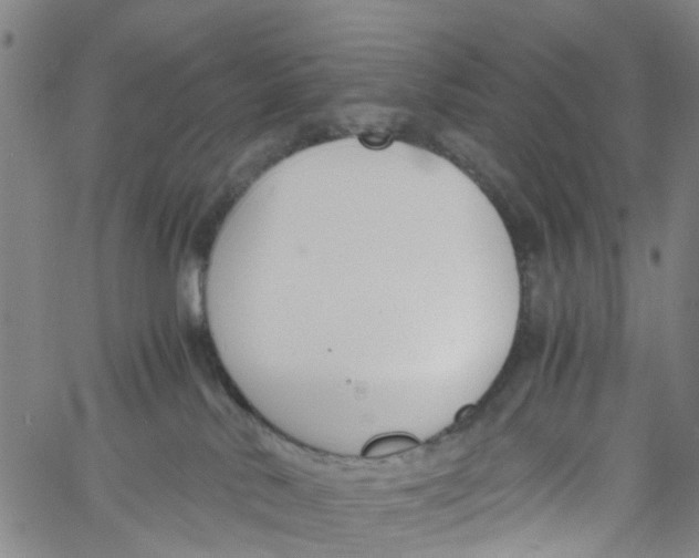 X0000060800042200512082201