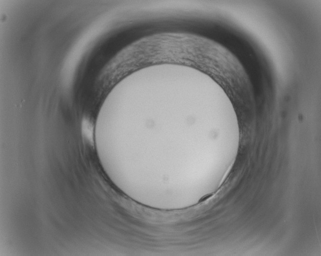 X0000060800047200512082201