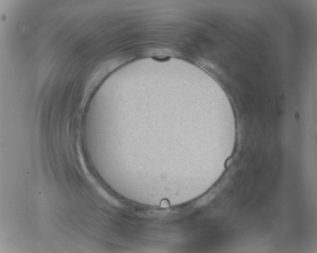 X0000060800049200512082200