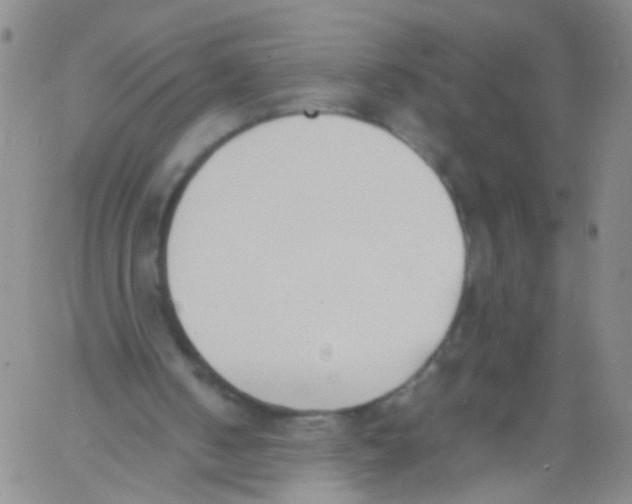 X0000060800050200512082200