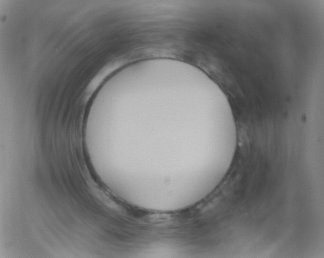 X0000060800052200512082200