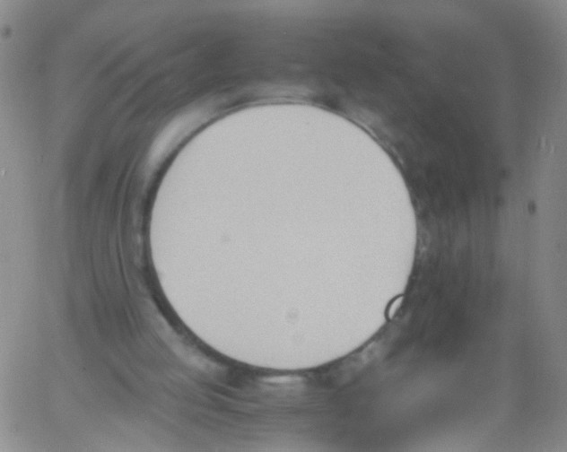 X0000060800053200512082200