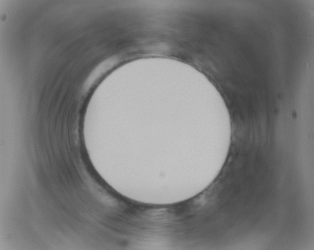 X0000060800054200512082200