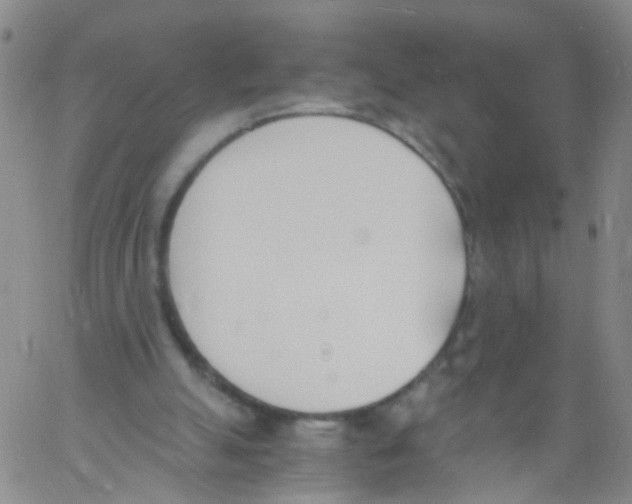 X0000060800055200512082200